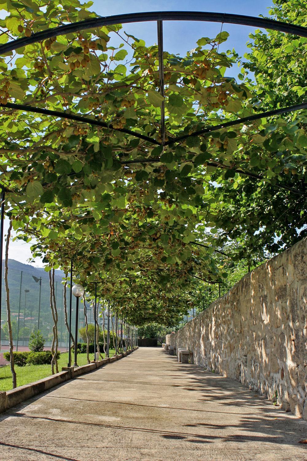 Hotel Boavista I Melgaço Zewnętrze zdjęcie